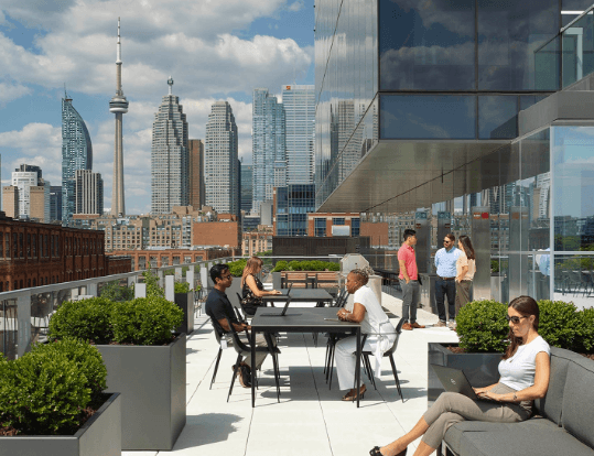 Human-Centered Design Principles